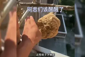 同志们该醒醒了视频封面