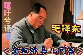 《念奴娇.鸟儿问答》毛泽东主席诗词视频封面