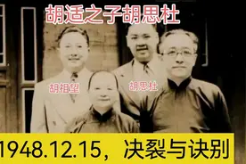 胡适幼子胡思杜：他（胡适）总是人民的敌人，也是我自己的敌人视频封面