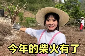 整理家门前的树枝，用8小时收拾干干净净，一天搞定一年的柴火视频封面