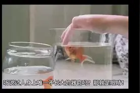 你知道人身体哪里部位永远不会生长吗，现在让我来告诉你！视频封面