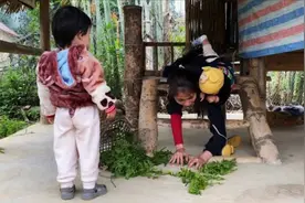 越南媳妇莹莹，和前夫复合后，怀三胎干活照顾孩子累的差点流产视频封面