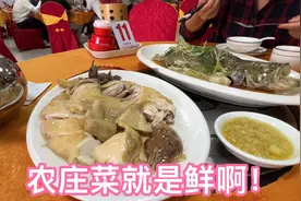 北京夫妻在中山：八哥农庄吃农家菜，真是鲜啊！有农庄是真好！视频封面
