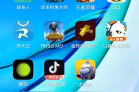 教你们下载金砖弱网 去百度 或去浏览器下载软天空