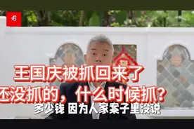司马南王国庆被抓回来了还没抓的什么时候抓视频封面