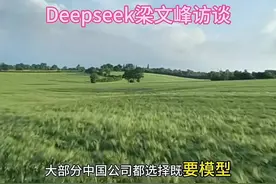 看完Deepseek梁文峰访谈能感觉到，我们正处于科技周期爆发的起点视频封面