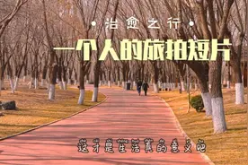 周末去哪玩？济西湿地不能错过，游玩遛娃好去处，城市中的静谧