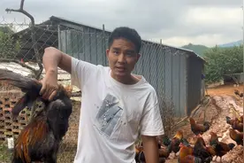 小伙深山养土鸡5年，第一次公布土鸡的利润，看看一只鸡能挣多少视频封面