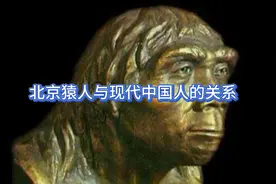 北京猿人是现代中国人的祖先吗？答案是……视频封面
