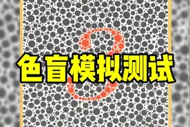 精选驾考必备色弱色盲模拟测试图卡大全，你答对几张了呢？视频封面