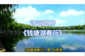 诗词赏析-《钱塘湖春行》.唐.白居易
