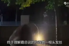 终于理解霸总说你连他的一根头发丝都不如了视频封面
