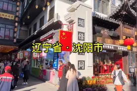 东北第一城•辽宁省•沈阳市视频封面