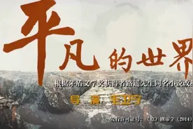 《平凡的世界》茅盾文学奖改编，经典之作！视频封面