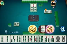 功夫川麻#微乐家乡麻将视频封面