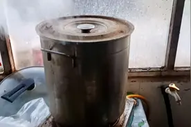 今天吃柯尔鸭