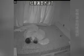 孩子被妈妈凶后找爸爸睡，结果真是太逗了😂视频封面