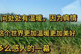 人间处处有温暖，因为真情这个世界更加温暖，更加美好，多么美的视频封面
