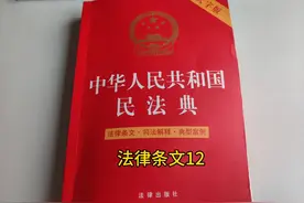 学法普法，知法遵法，守法用法《中华人民共和国民法典》12视频封面
