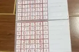 185期排列五最新规律走势图视频封面