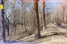 探访谢霆锋王菲北京的青翠园别墅，这环境真不错视频封面
