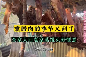 熏腊肉的季节到了，全家人都回老家，结果蒸馒头的时候太搞笑了视频封面