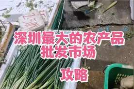 香港人周末购菜的地方，也是深圳最大，农产品种类最多，历史最久视频封面