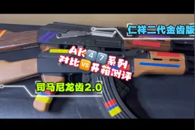 入门款玩具之司马AK47与仁祥二代AK47 (金齿版)开箱测评视频封面