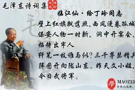 《临江仙·给丁玲同志》毛泽东经典诗词赞美首位文协主任上前线视频封面