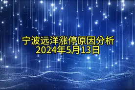 宁波远洋涨停原因分析20240513视频封面