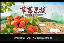 草莓挑选秘籍：教你避开“激素草莓”视频封面