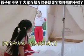 孩子们不见了 大家相互去帮果宝找许愿的小树了视频封面
