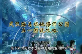 武汉海昌极地海洋公园 五一游玩攻略视频封面