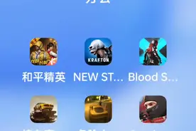如何下载波兰球桌宠