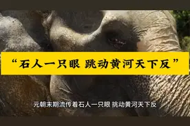 古人为什么说“石人一只眼 挑动黄河天下反”视频封面