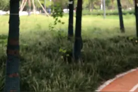 都说岁月温柔，可岁月又曾饶过谁视频封面