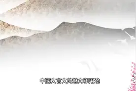 中国文言文的魅力和用途视频封面