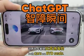 ChatGPT祖师爷，回答速度非常快，绝对不顶嘴😃视频封面