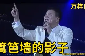 《篱笆墙的影子》硬是被万梓良唱出了江湖大佬返乡的感觉视频封面