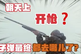 如果朝天上开枪！子弹最终都去哪儿了？看完这个视频你就明白了视频封面