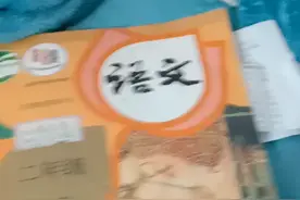 让我们看看书本里面有奇怪的内容，在吐槽一下营销号《二年级》视频封面