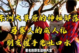 非洲原始部落马赛人的奇葩习俗男人的成人礼需独自斩杀一只雄狮视频封面