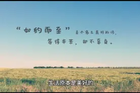 人生苦短：我们不要跟自己较劲儿，不要折磨自己！视频封面