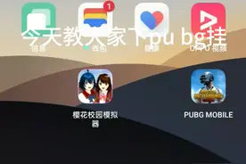 下载p ub g体验服挂