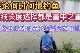 子线长度选择对渔获有着决定性影响，按这样去选择，渔获翻几倍视频封面
