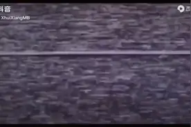 #曼德拉记录#伪人，完整版视频封面