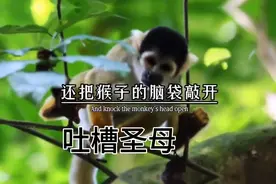 今天吐槽圣母视频封面