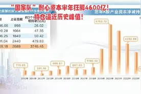 “国家队”耐心资本半年狂掷4600亿元！持仓逼近历史峰值！视频封面