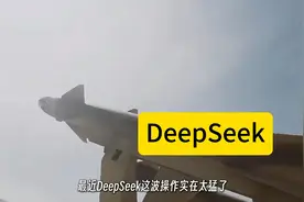 测评分析DeepSeek多模态大模型Janus Pro视频封面