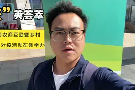 “农”英荟萃！2024全国农商互联暨乡村振兴产销对接活动在徐举办视频封面